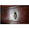 Image 4 : 1800's Chinese Wood Cabinet Tiger Patterned Doors