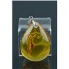 Image 1 : Natural Amber Pendant