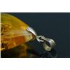 Image 3 : Natural Amber Pendant