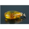 Image 4 : Natural Amber Pendant