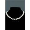 Image 1 : Pearl-like Bead Necklace