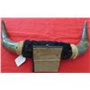 Image 4 : Pair of Mounted Steer Horns