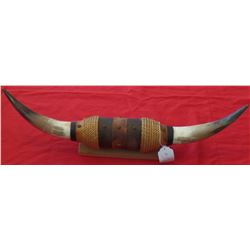 Pair of Mounted Steer Horns