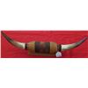 Image 1 : Pair of Mounted Steer Horns