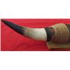 Image 3 : Pair of Mounted Steer Horns
