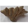 Image 1 : Pre-Columbian Peanut Cluster Carving