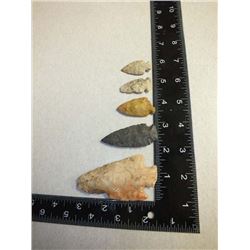 Lot of 5 Indian Arrowheads
