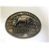 Image 1 : 1981 Hesston Rodea buckle