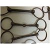 Image 2 : Lot of 10 antique Horse bits