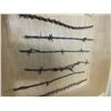 Image 3 : 9 different strands of antique barbwire