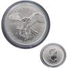 Image 1 : 2014 Canada Peregrine Falcon 1oz $5 Commemorative Silver Maple Leaf in capsule. The coin is toned. (