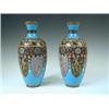 Image 1 : A pair of early 20th century cloisonnT baluster vases with panels decorated with exotic birds, 31...