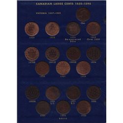 Collection of Large Cents