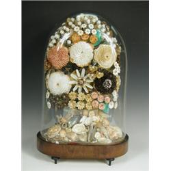 A 19th century shell arrangement under a glass dome, raised on shaped feet, 51cm Est. 300/4...
