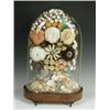 Image 1 : A 19th century shell arrangement under a glass dome, raised on shaped feet, 51cm Est. 300/4...