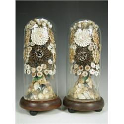 A pair of 19th century shell arrangements under glass domes (damaged), on low mahogany stands...