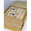 Image 1 : A Victorian/Edwardian pine fall front microscope slide box with twelve trays each containing t...
