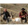 Image 1 : KAYCEE WYOMING, ANTELOPE HUNT WITH SCOLARI OUTFITTERS