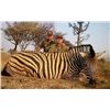 Image 2 : AFRIHUNT SAFARIS NAMIBIA/NORTHERN NAMIBIA -100% DONATION