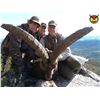 Image 1 : FIVE DAY BIG GAME HUNT IN SPAIN-1HUNTER & 1 OBSERVER