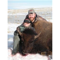 2 DAY BISON HUNT FOR ONE HUNTER IN MT.