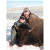 Image 1 : 2 DAY BISON HUNT FOR ONE HUNTER IN MT.