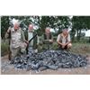 Image 2 : 7 DAY MIXED BAG HUNT  FOR 1 HUNTER IN LIMPOPO SOUTH AFRICA