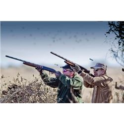 TWO HUNTERS /3DAYS HIGH VOLUME DOVE HUNTING AT POSTA DEL NORTE IN CORDOBA ARGENTINA --100% DONATION