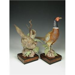 A pair of ring necked pheasants modelled by Ronald van Ruyckevelt for Royal Worcester dated 1967,...