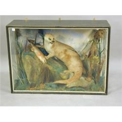 A stuffed and mounted Otter in a triple-glazed case, circa 1870. In the style of Murray of Cornfo...