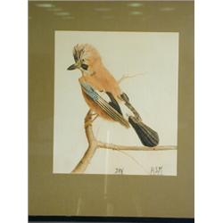 Attributed to Henry Stacy Marks, 'JAY', With initials and inscribed, watercolour, 33 x 29cm<b...