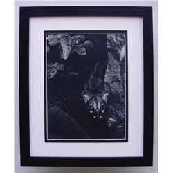 Brassai The Hunt 1930s Framed Antique Photogravure