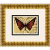 Image 1 : Bernard Buffet Lithograph Red and Yellow Butterfly Framed