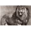 Image 2 : Sir Edward Landseer "Study of a Lion" Framed 1880s Print