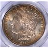 Image 2 : 1881-O MORGAN DOLLAR PCGS MS-65