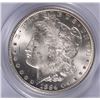 Image 2 : 1884-CC MORGAN DOLLAR PCGS MS-64