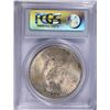 Image 4 : 1923 PEACE DOLLAR PCGS MS-62