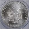 Image 3 : 2003 AMERICAN SILVER EAGLE, PCGS MS-69