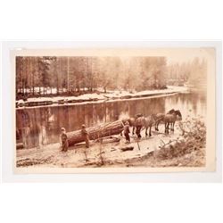 ANTIQUE LOGGING PHOTO - LOGGING W/ HORSES