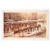 Image 1 : ANTIQUE LOGGING PHOTO - LOGGING W/ HORSES