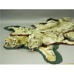 Two tiger skins, both with stuffed heads and a leopard skin, all on felt mounts, in the style...