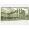 Image 2 : Gwen Raverat (1885-1957) An album of 77 woodcuts circa 1916-1921, the majority signed in penci...