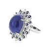 Image 2 : 14KT White Gold 26.38 ctw Tanzanite and Diamond Ring