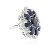 Image 2 : 14KT White Gold 9.63 ctw Sapphire Ring