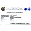 Image 2 : 13.97 ctw. Oval Cabochon Cut Tanzanite Parcel