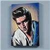 Image 1 : Elvis Presley by  David Garibaldi