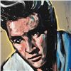 Image 2 : Elvis Presley by  David Garibaldi