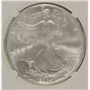 Image 2 : 2004 AMERICAN SILVER EAGLE, NGC MS-69
