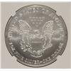 Image 3 : 2004 AMERICAN SILVER EAGLE, NGC MS-69