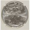 Image 2 : 2008 AMERICAN SILVER EAGLE, NGC MS-69